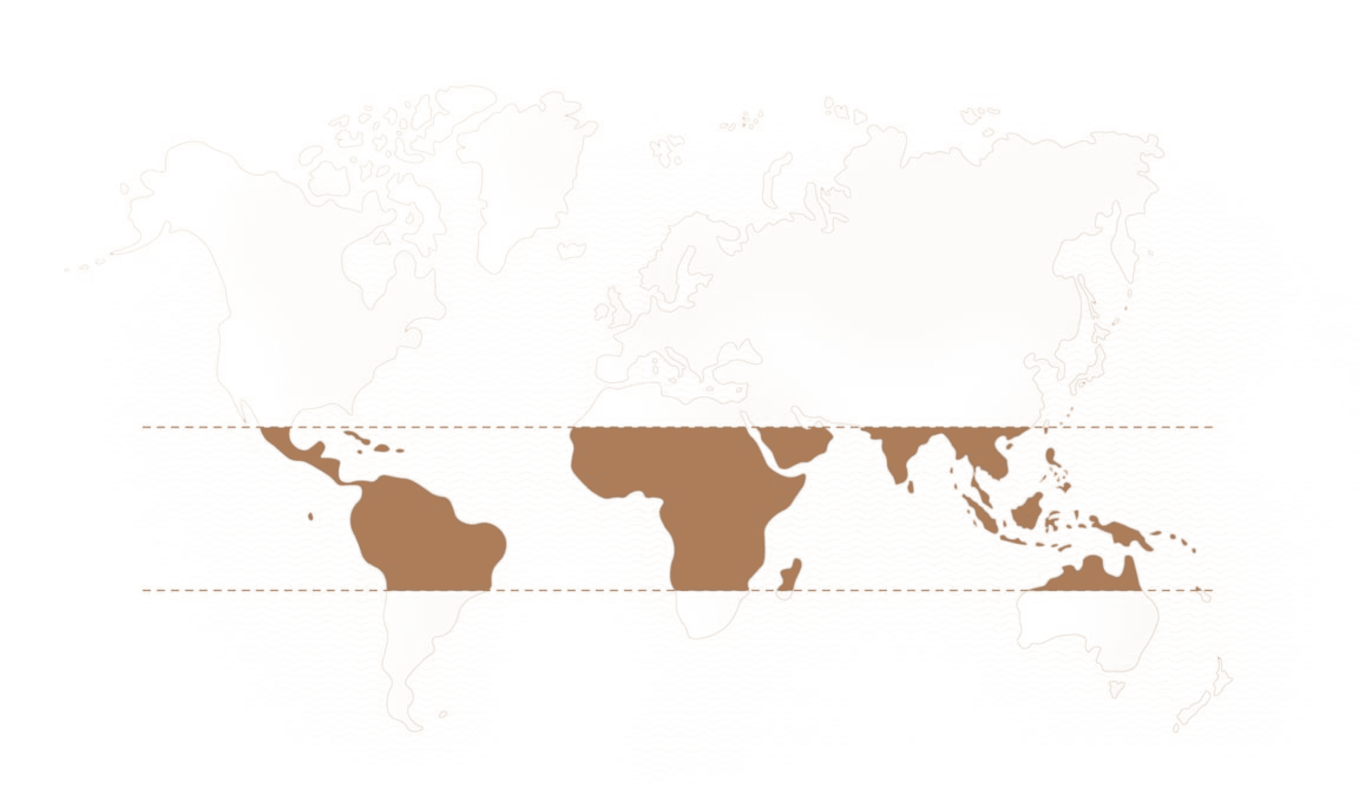 World map brown