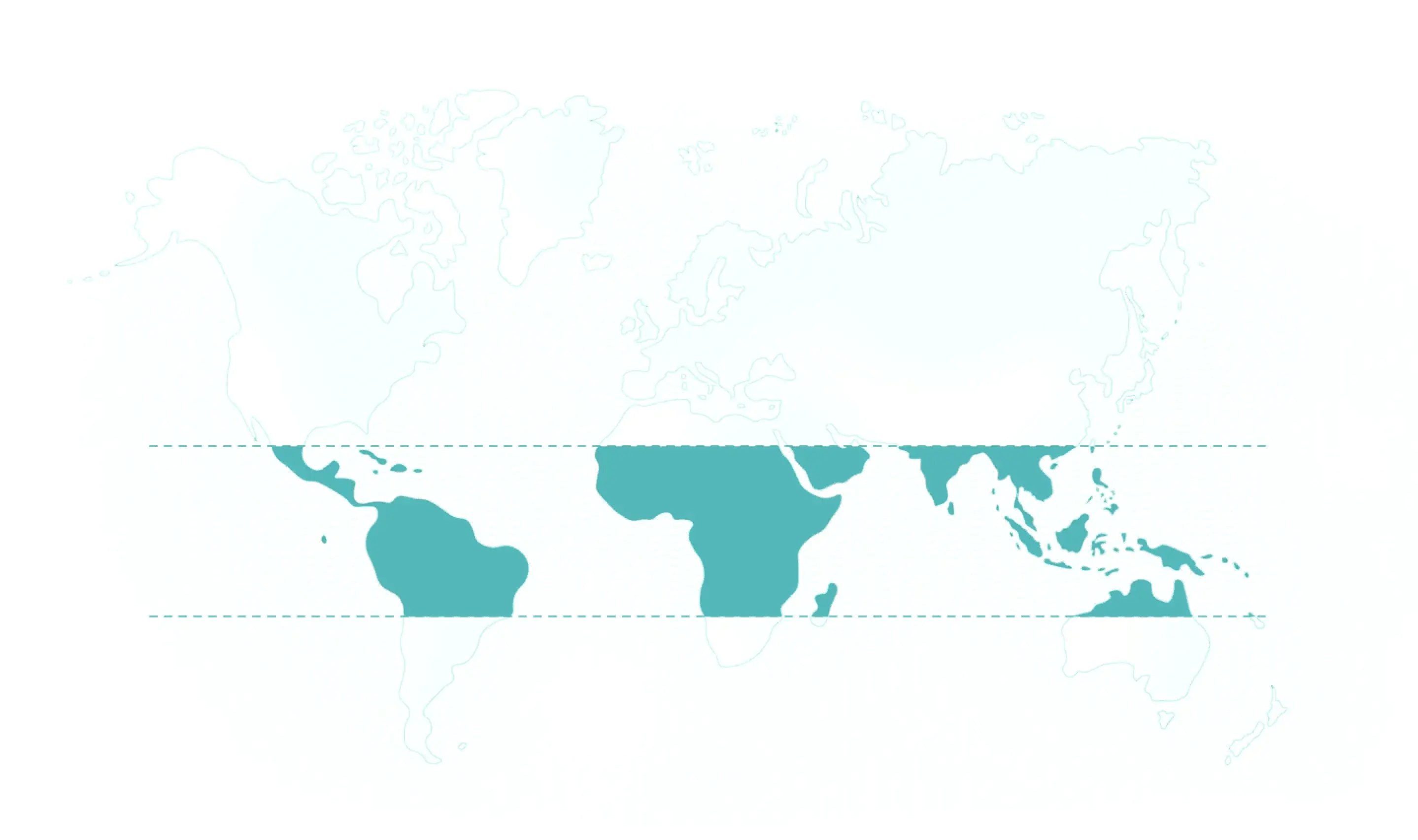 World map